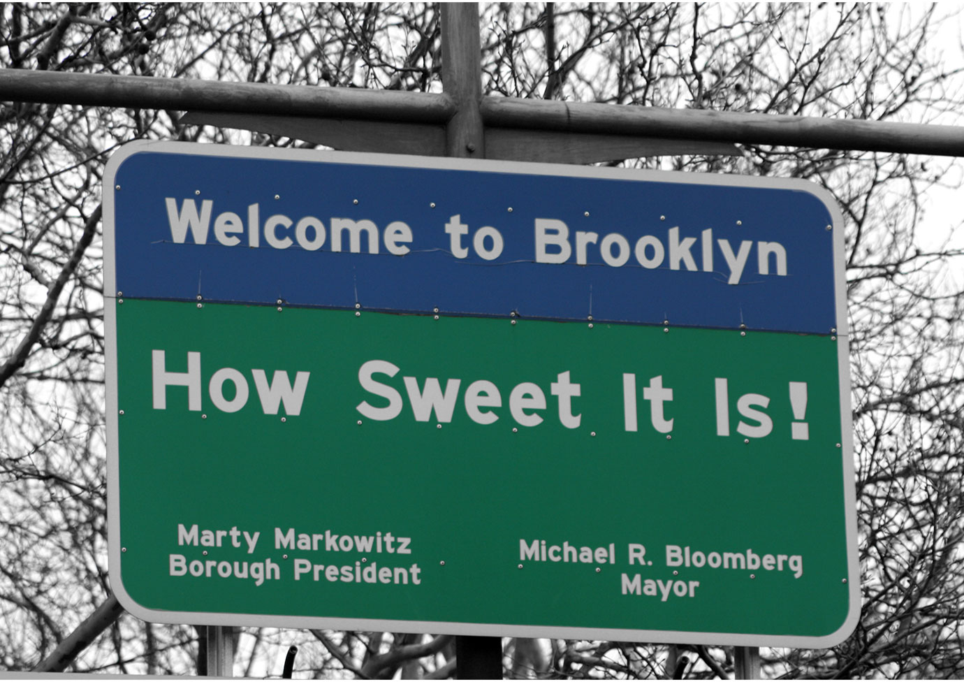 kings-brooklyn
