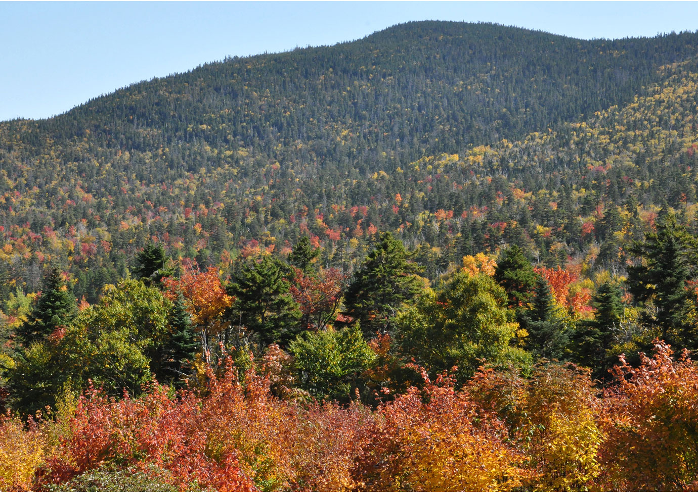 new-hampshire-2